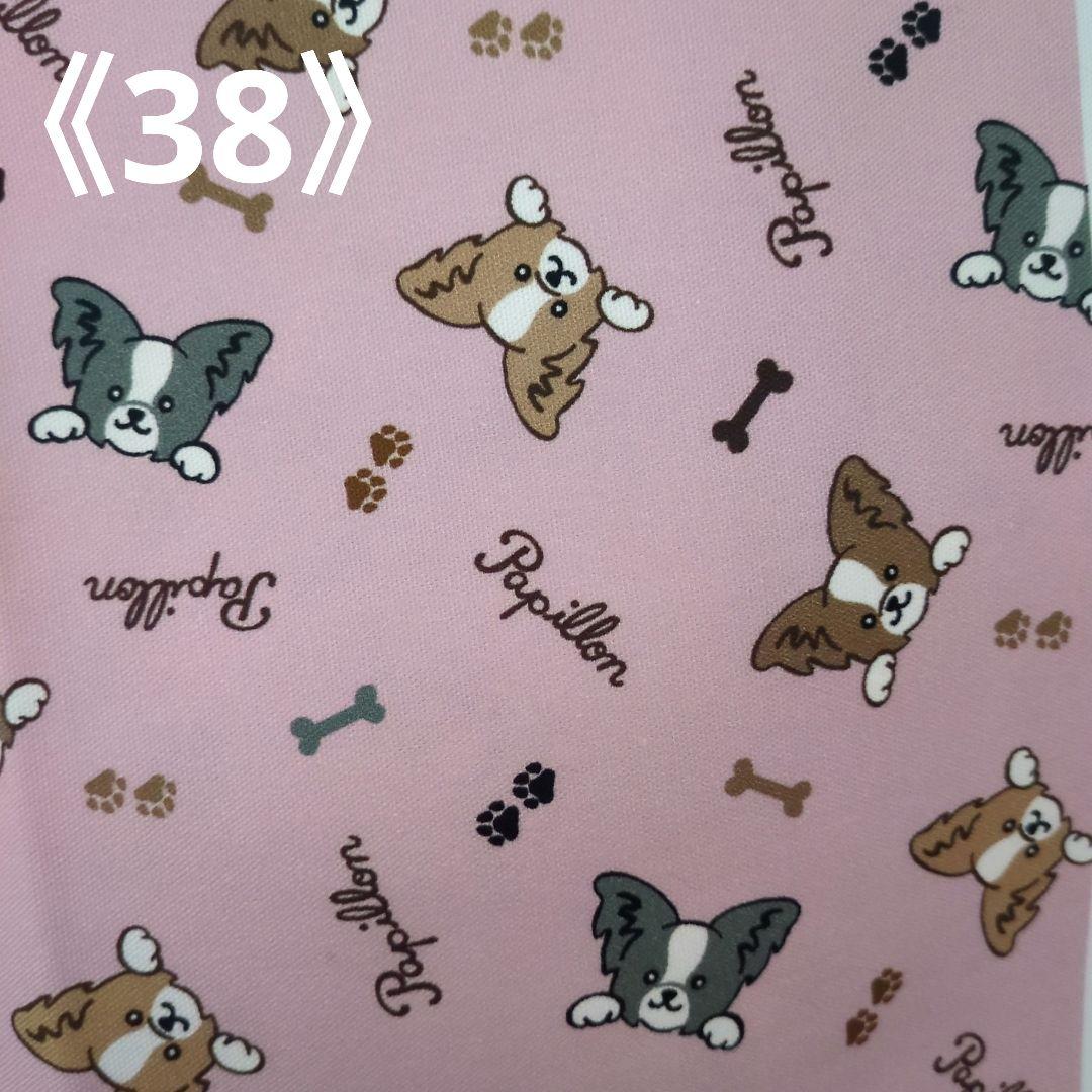 ペット✩犬✩マナーベルトオーダー用 サンプル(確認用)パピヨン