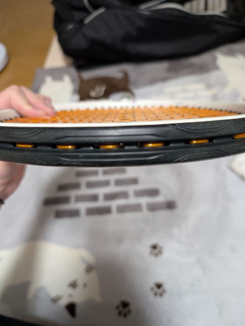 Tecnifibre TF-40 ラケット 2本セット