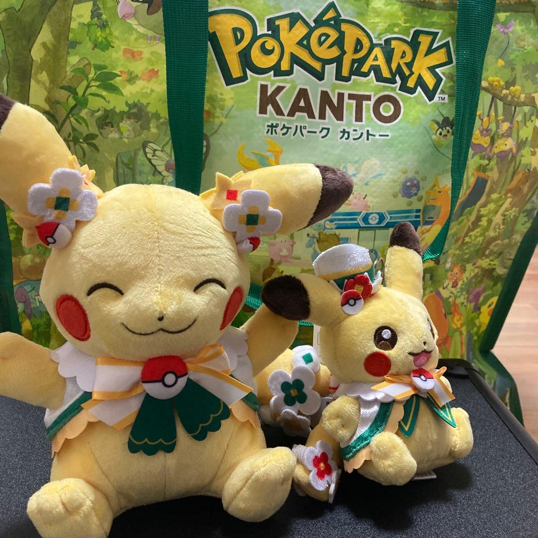 ポケパークカントー カーニバル衣装 ピカチュウ ぬいぐるみ 中と小セット