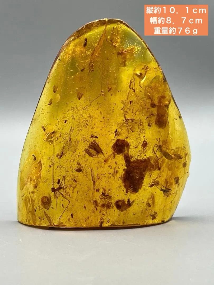 虫入り琥珀　蜘蛛　蚊　多種多様な虫を内包　バルティックアンバー　バルト海沿岸地域