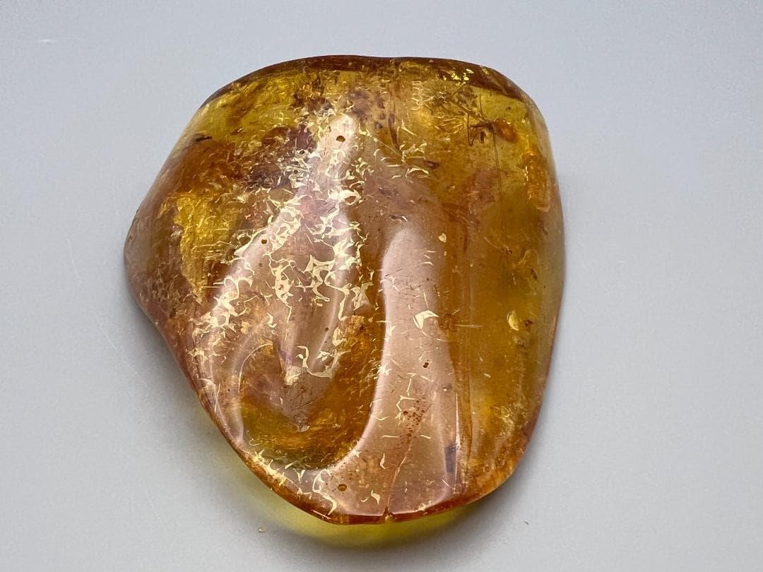 虫入り琥珀　蜘蛛　蚊　多種多様な虫を内包　バルティックアンバー　バルト海沿岸地域