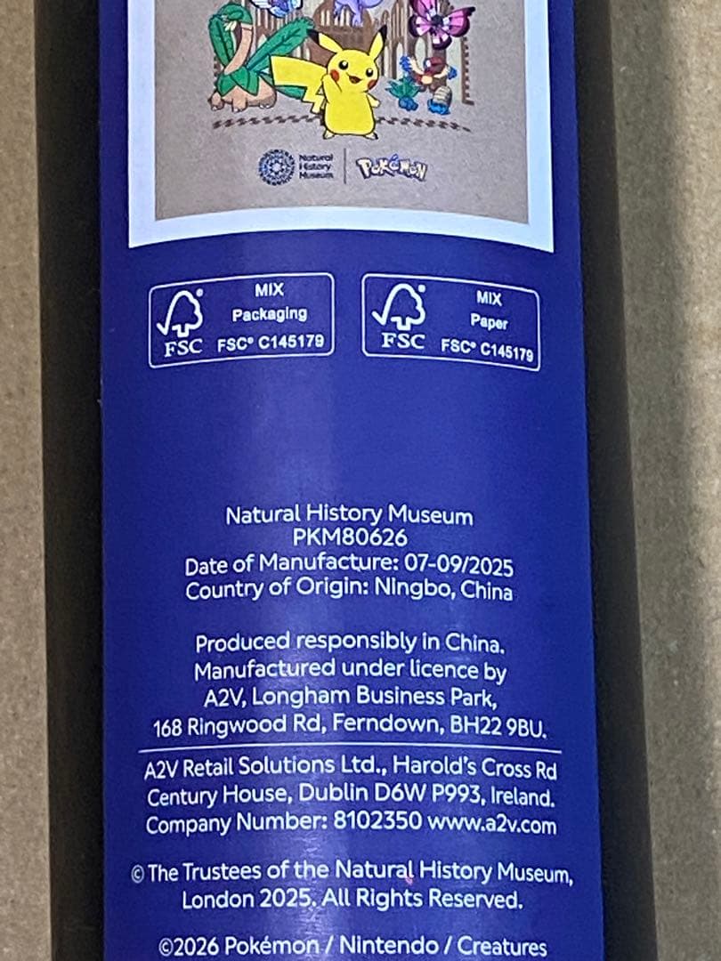 ポケモン ロンドン自然史博物館　ピカチュウA3 ポスター　C