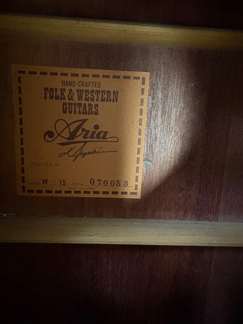 ARIA w15 アコースティックギター　アリア　ギター　ハードケース