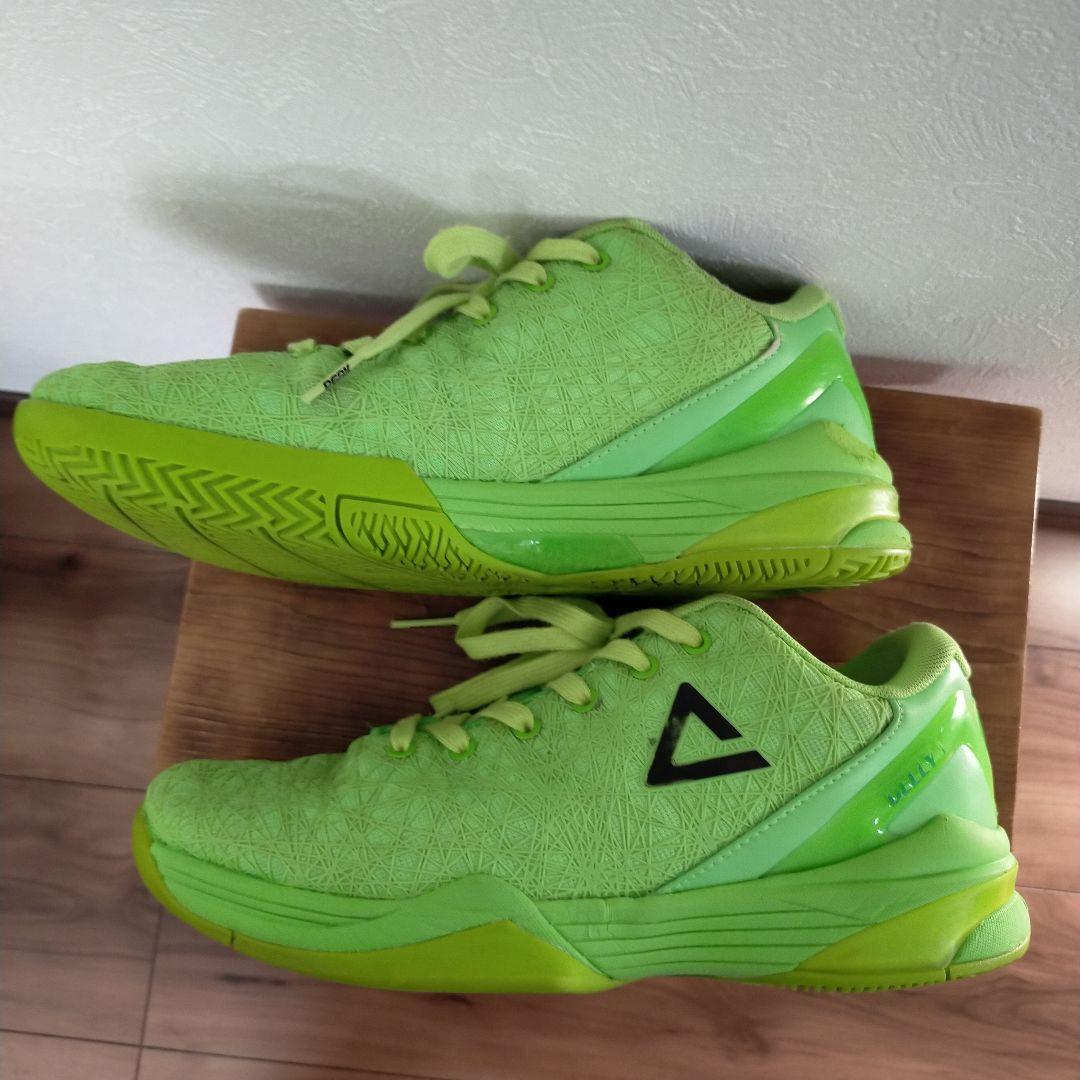 PEAK DELLY 1 ピーク　デリー1 US9 27cm