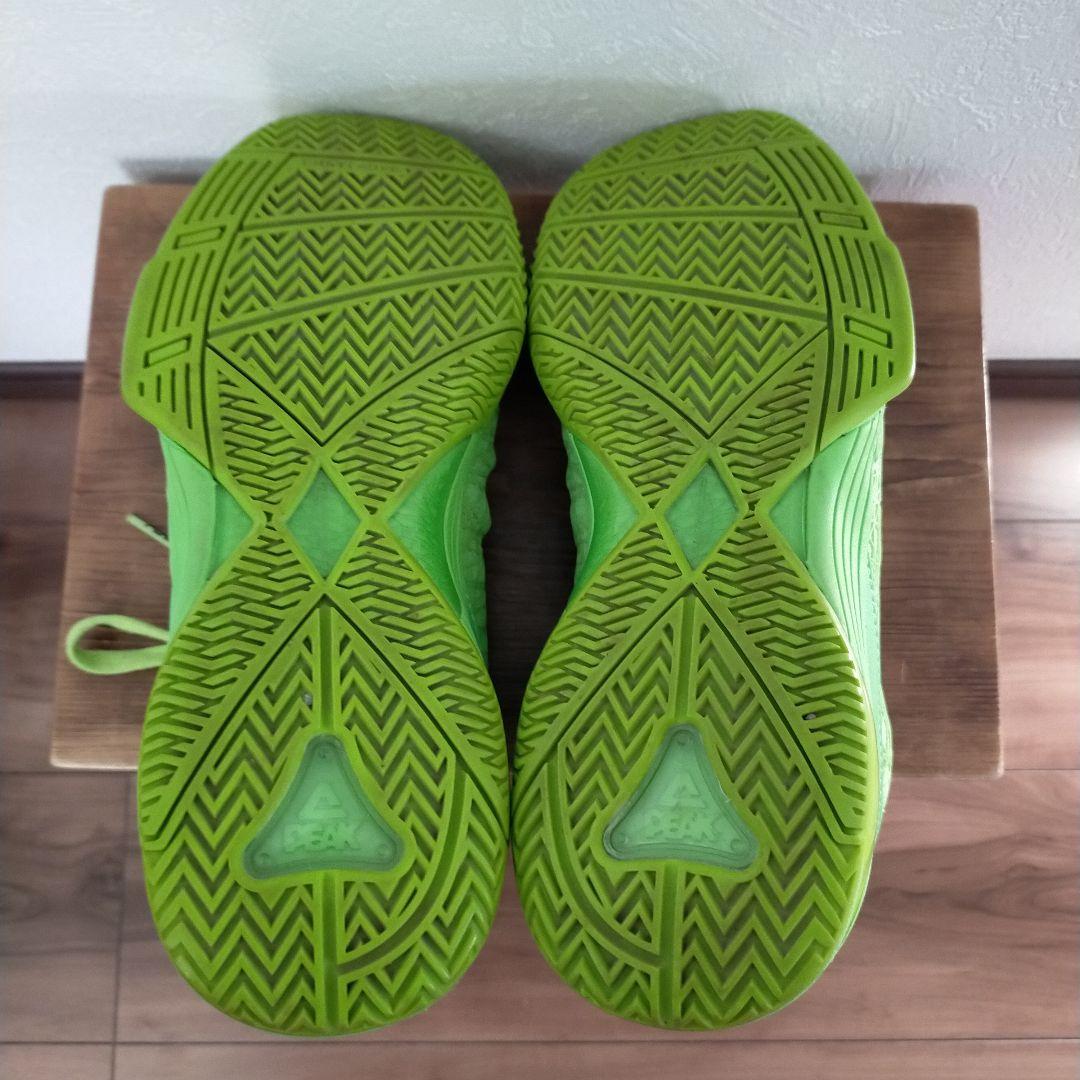 PEAK DELLY 1 ピーク　デリー1 US9 27cm