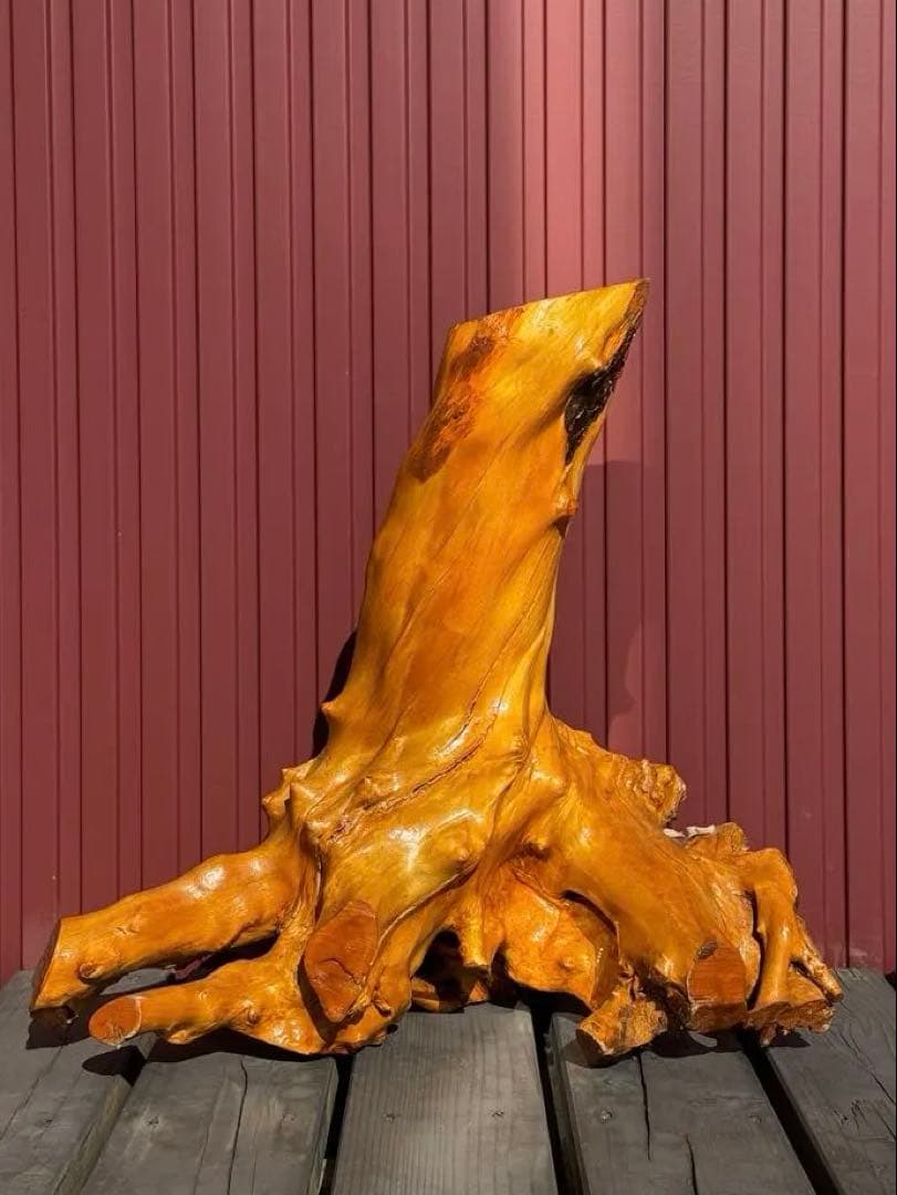 【一点もの】天然木 根流木 オブジェ 飴色仕上げ インテリア 盆栽台 置物