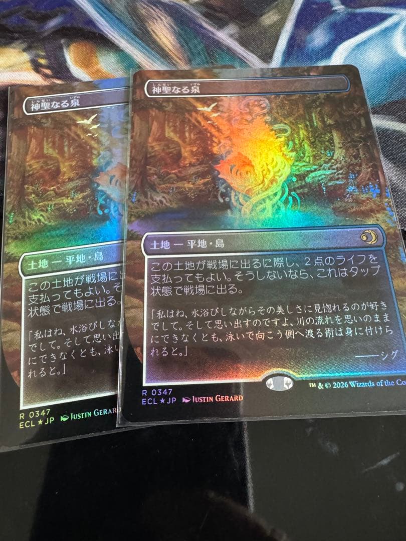 mtg 神聖なる泉　ボーダーレスfoil