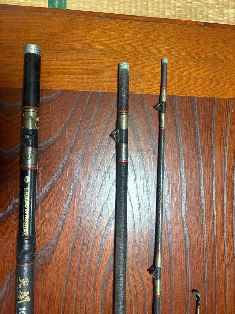 カーボウイスカー　尖閣100号　484