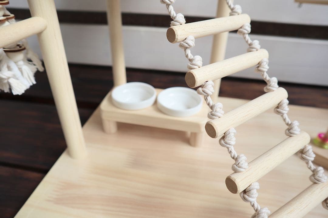 ことりのおおきなあそびば　文鳥　インコ　バードアスレチック　バードジム　ブランコ