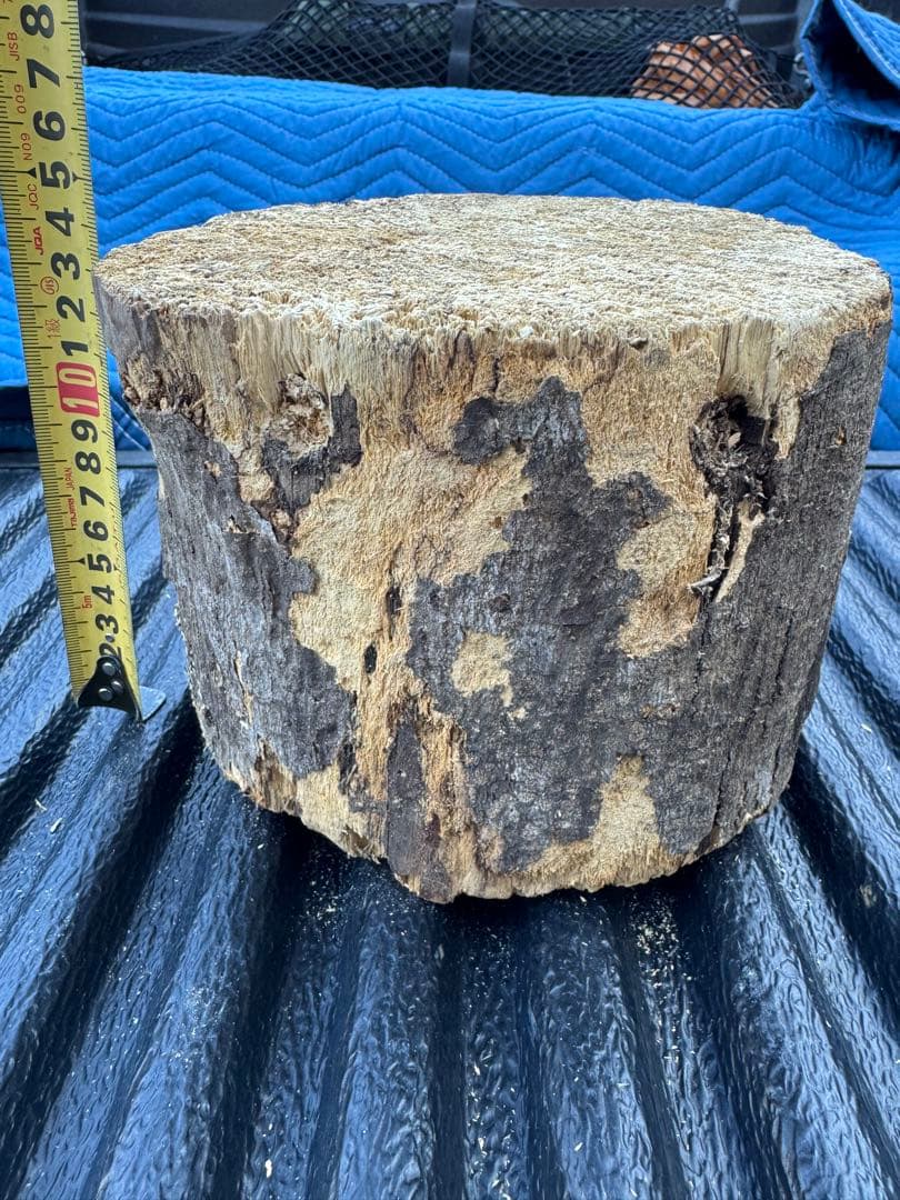 ベトナム材　VN材　13cm×18cm 産卵材