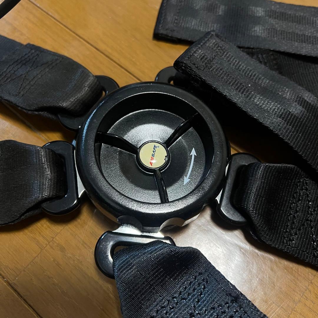 BOEING 737 コックピット シートベルト