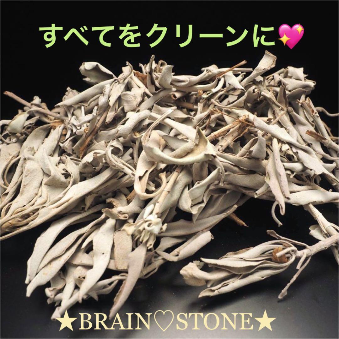 ★特選NEW★無農薬カリフォルニア産【箱配送100g高品質ホワイトセージ】❤️