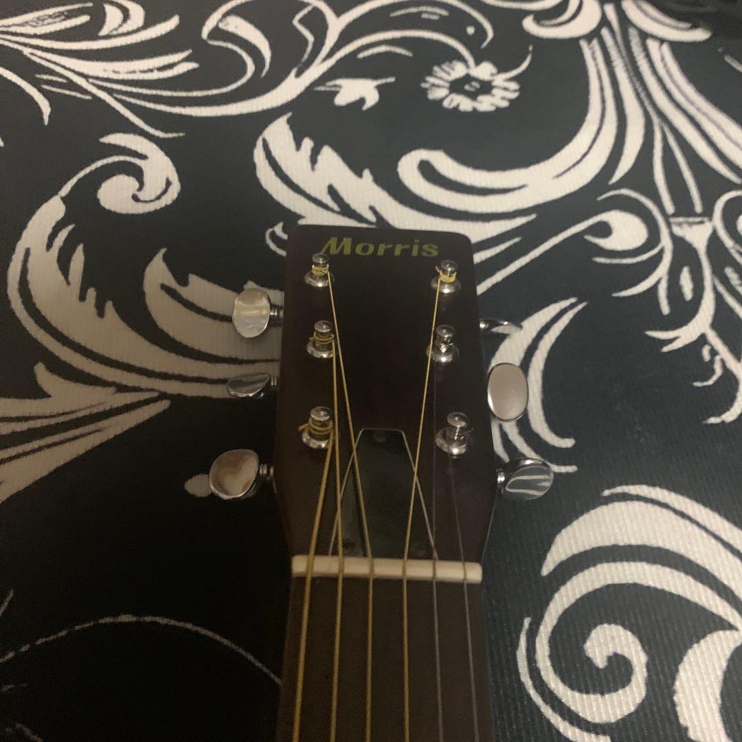 MORRIS モーリス W-15 アコギ アコースティックギター