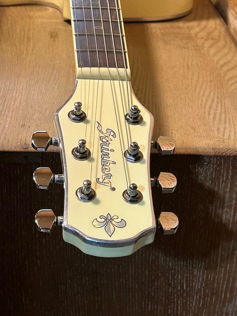 STRINBERG フルアコ化リメイクギター