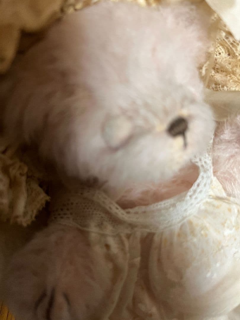 テディベア　作家②