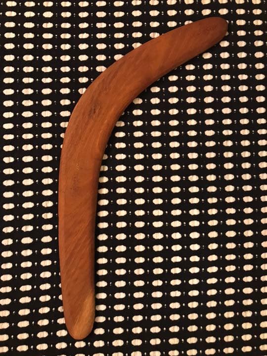 アボリジナルアート ブーメラン Stephen Mclean 蛇 ヘビ