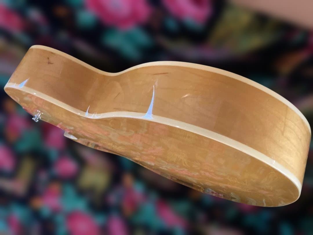 ギター Archtop Tribute AT-102