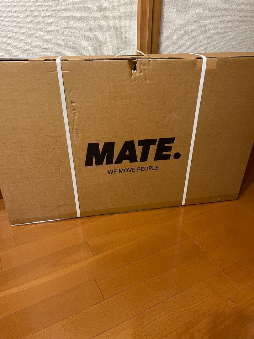 MATE MINI メイト　ミニ　ストライダー