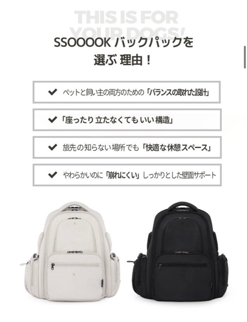 25日まで値下げします！SSOOOK バッグパックMサイズ