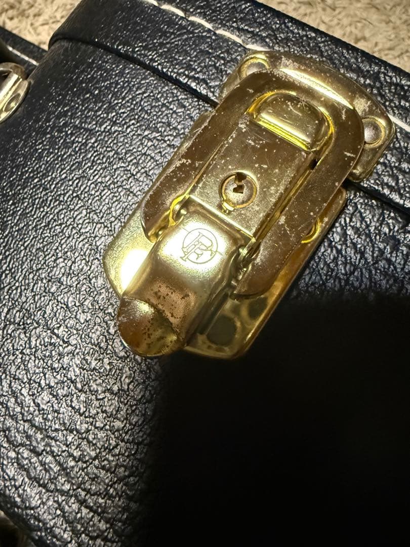 Martin & Co. 黒いレザーギターケース