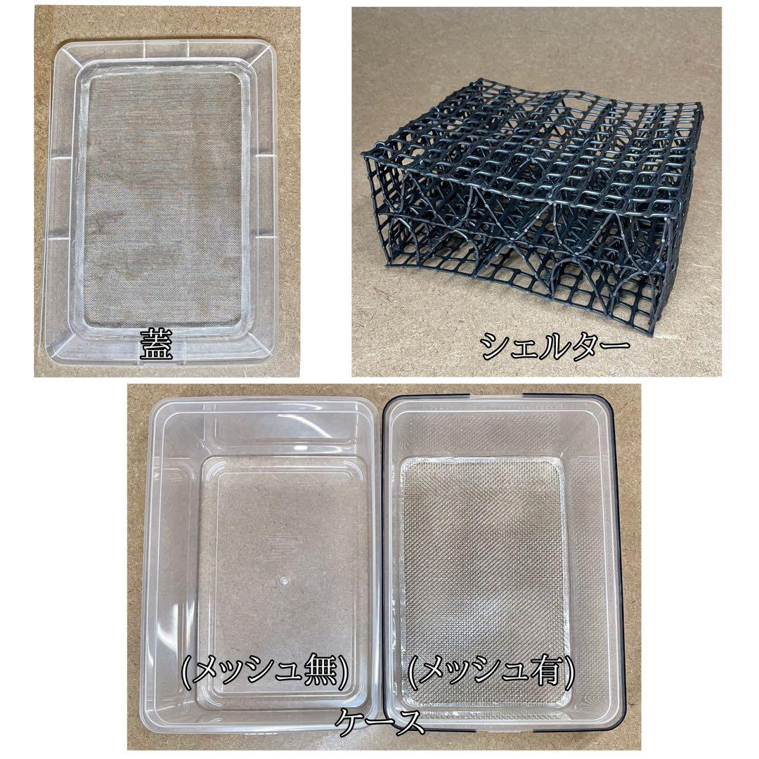 ましん様 (フル)(デュ)