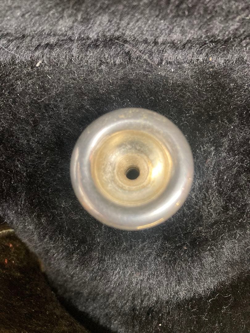 selection STP-30V トランペット ハードケース付 付属品あり