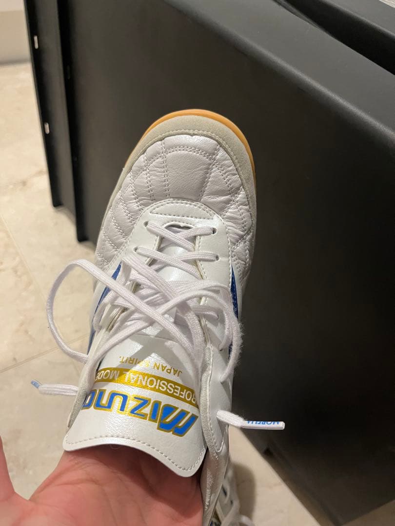 モレリア　サラ　ジャパン　イン　MIZUNO ENERZY 27.0cm