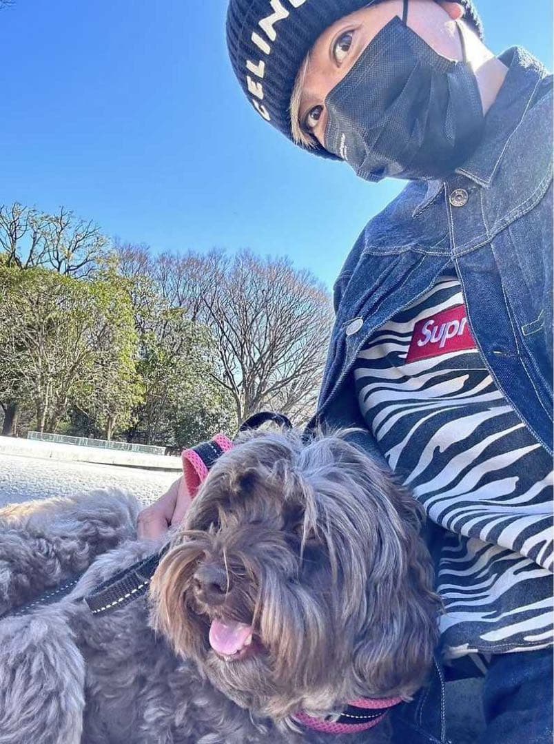 Supreme Box Logo Crewneck Zebra Sサイズ