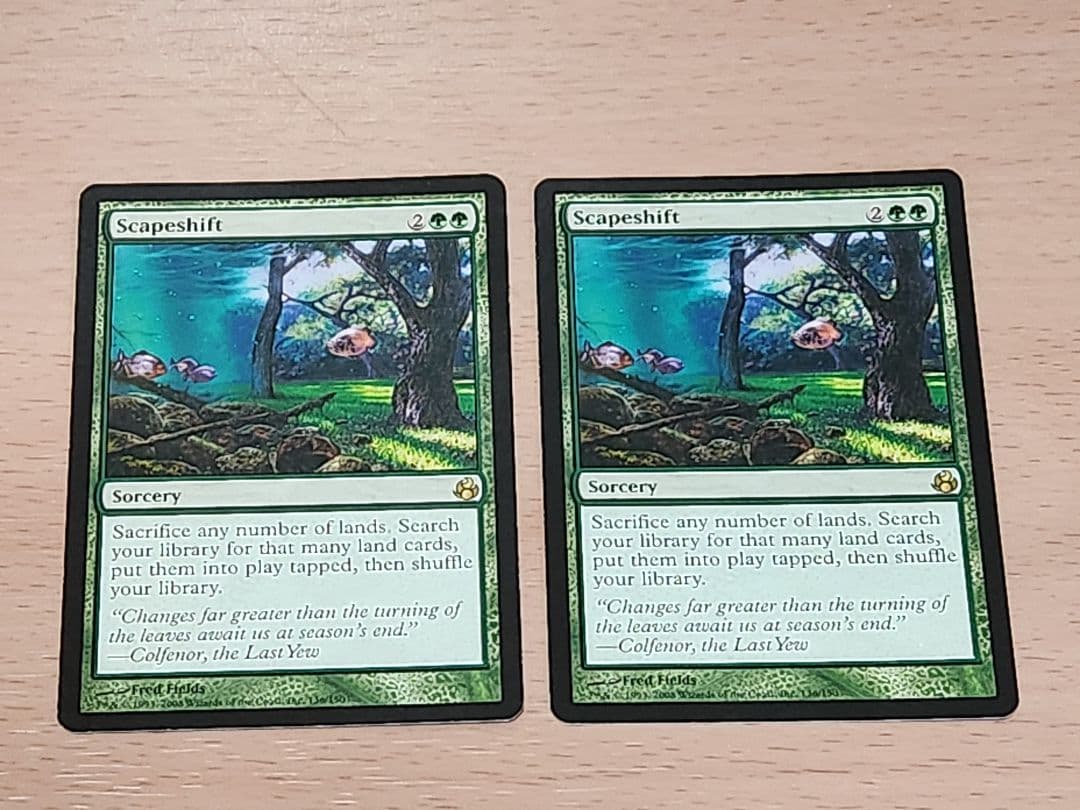 風景の変容　英語版　2枚