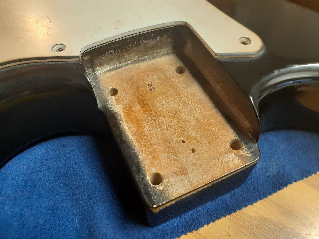 ス*モ様 Bill Lawrence BCOR-55 シャケ RED WARRI