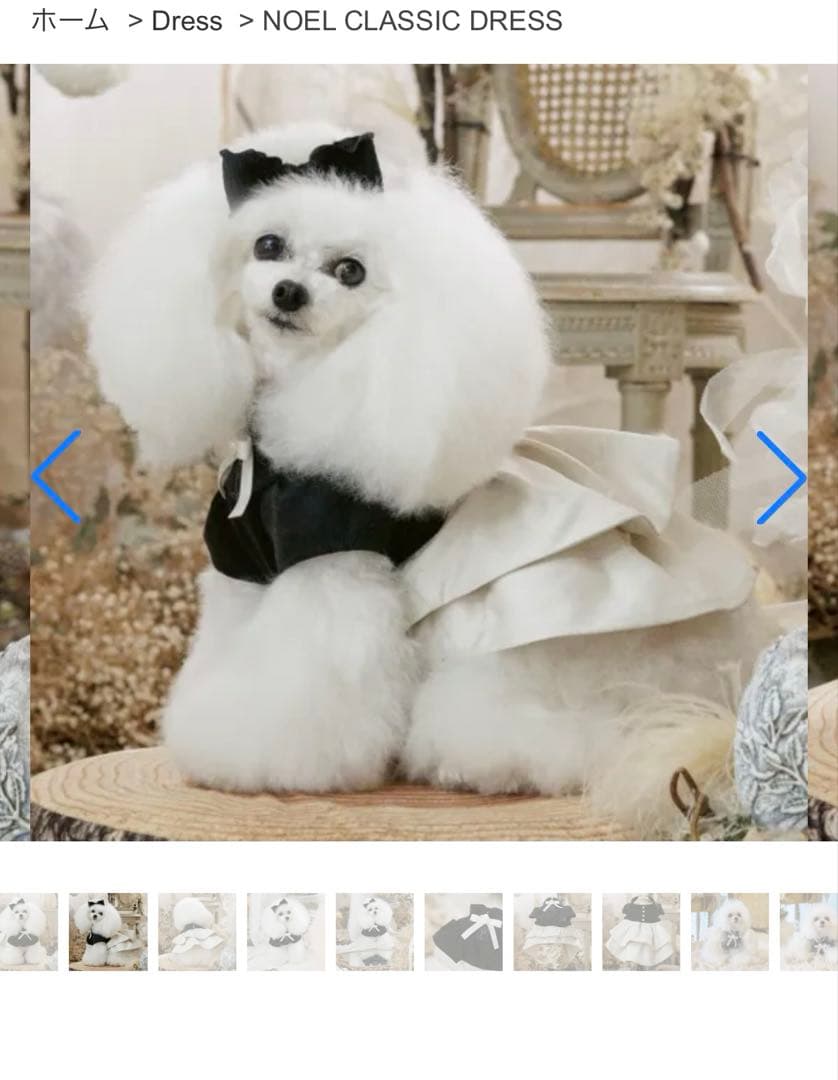 PP closet PPクローゼット　ノエルクラシックドレス　34 犬服　ドレス