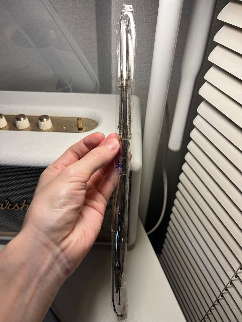 【昔七節最長種】Phobaeticus serratipesナナフシ 標本