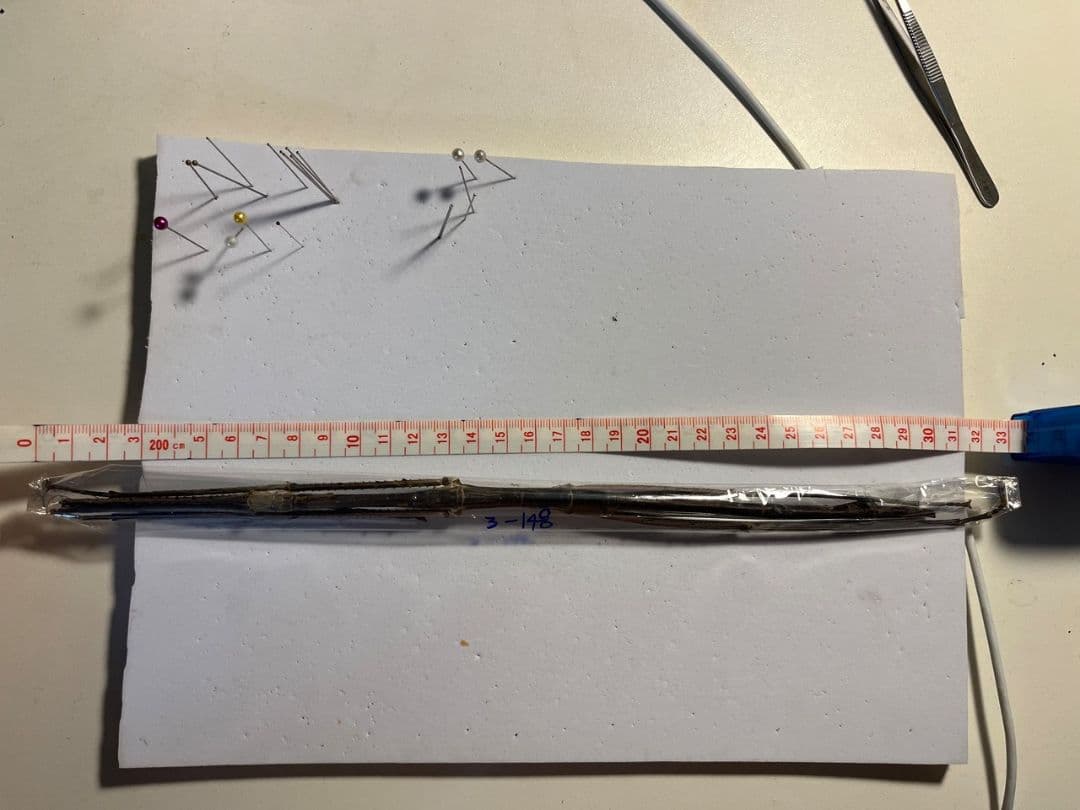 【昔七節最長種】Phobaeticus serratipesナナフシ 標本