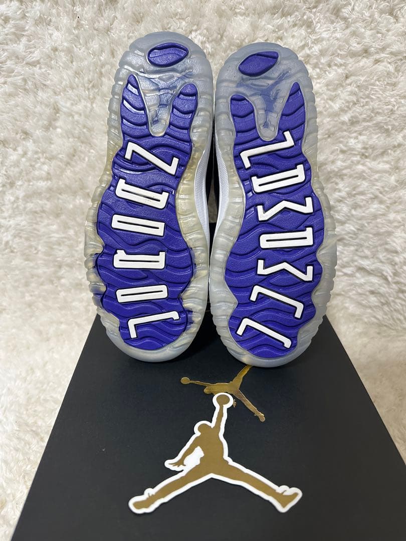 Air Jordan 11 Retro コンコルド　20.5センチ