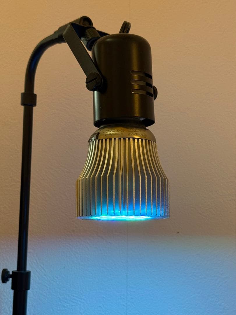 特別仕様 バイタルウェーブⅡ改 ワイドバントブルー