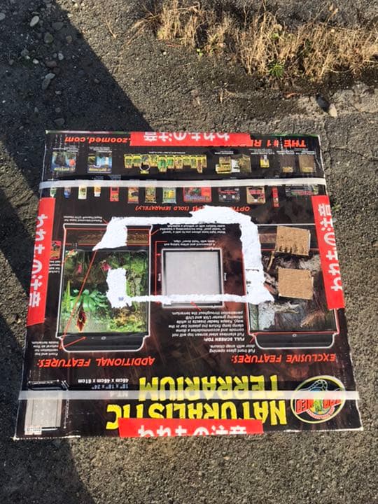 爬虫類 両生類 観賞用ガラスケース