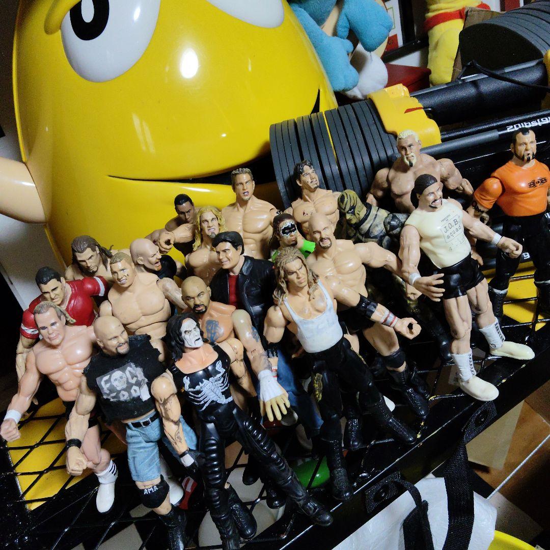 プロレス　フィギュア wwe wwf ロック　ストーンコールド