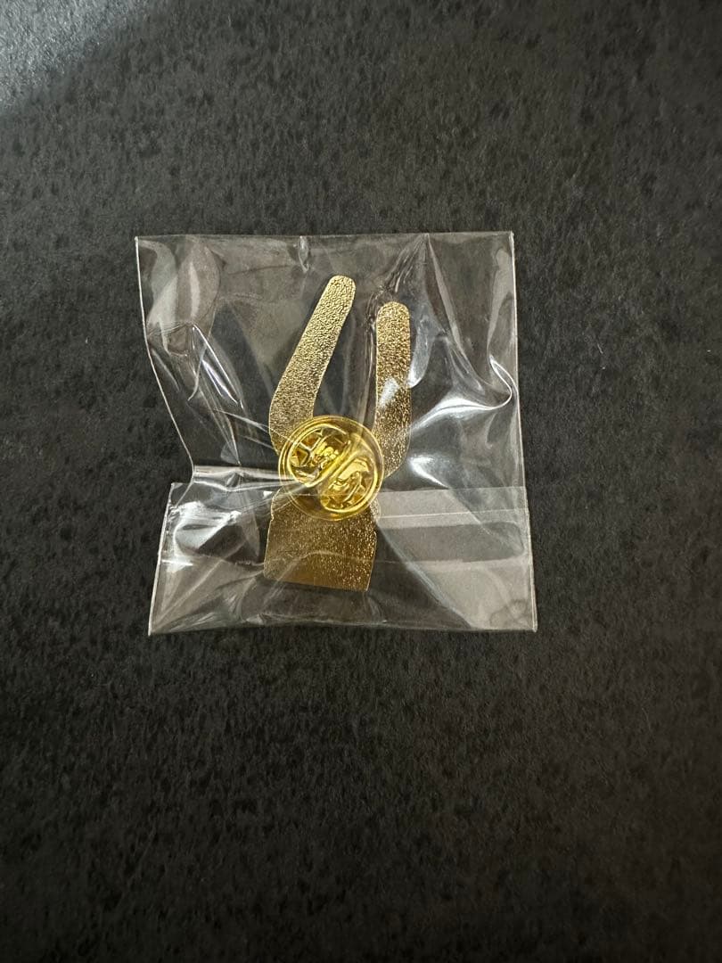 万博　ドミニカ　パビリオン　ピンバッチ　非売品