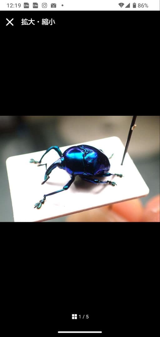 まとめ売り専用