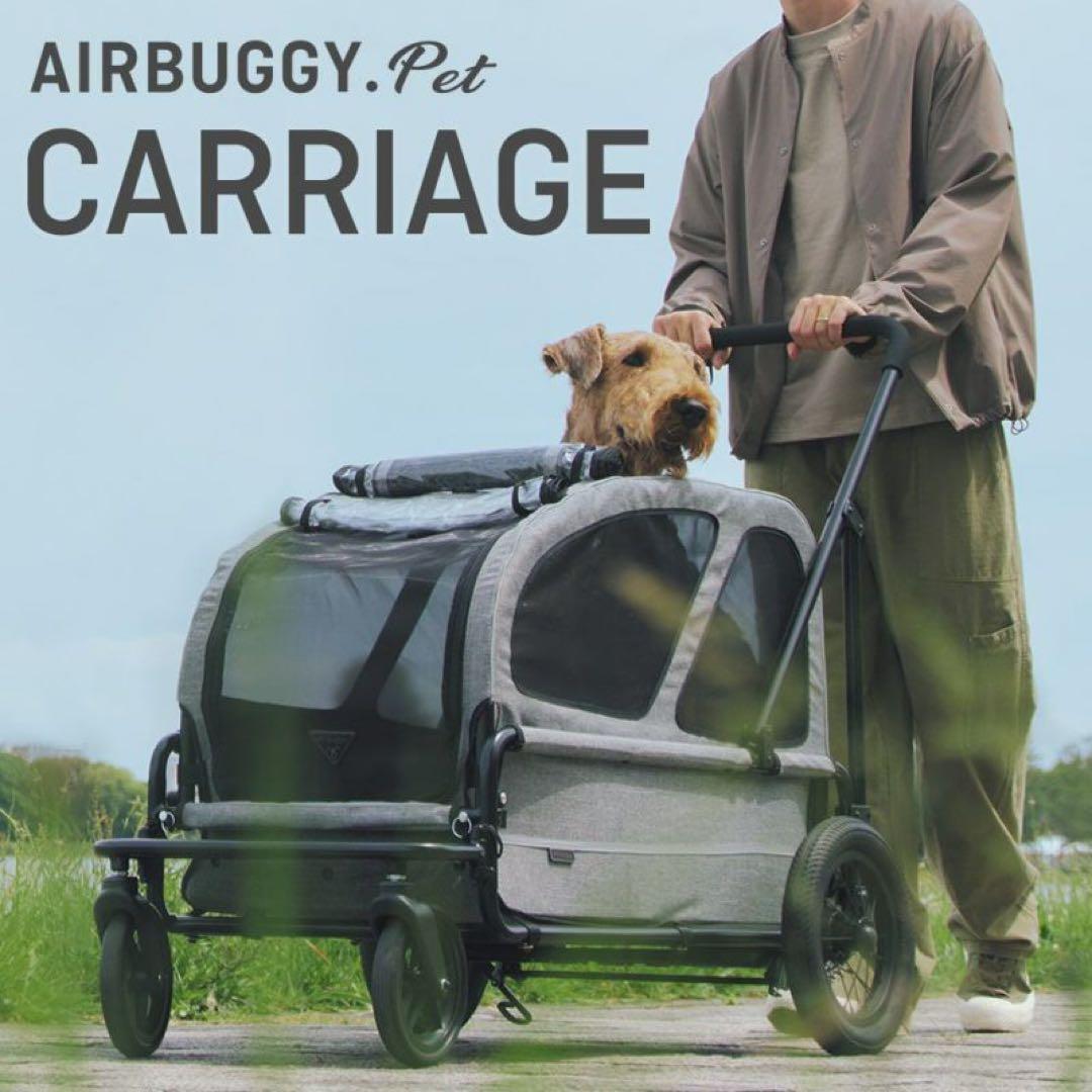 AIRBUGGY CARRIAGE エアバギー　キャリッジ　ルーフセット