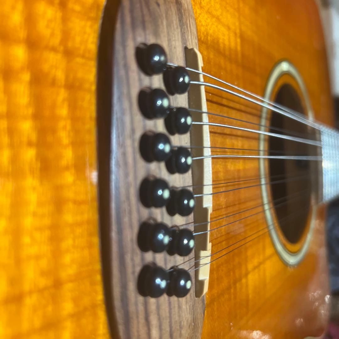 Aria 12弦 エレアコ FET12 KORG slimpitchおまけ