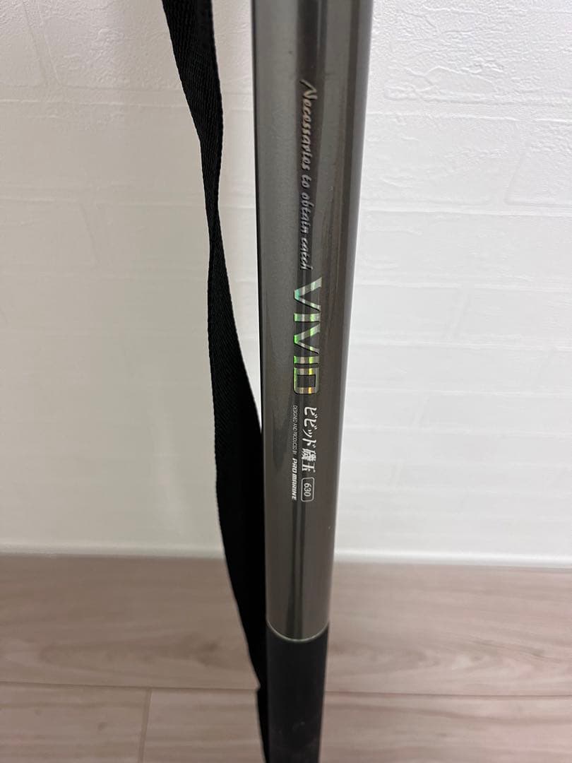 コルトスナイパーBBスカイロードショアジギングロッド2本10fたもの柄1本の3S