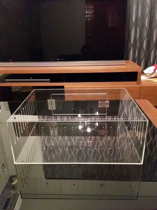 爬虫類ゲージ アクリルゲージ 【 No.3 】