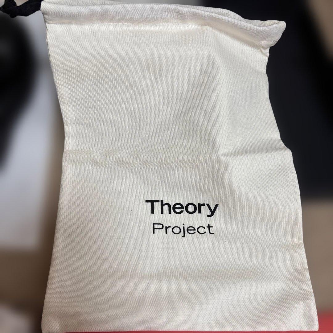 値下げ！　theory牛革ローファー　美品　箱、巾着あり