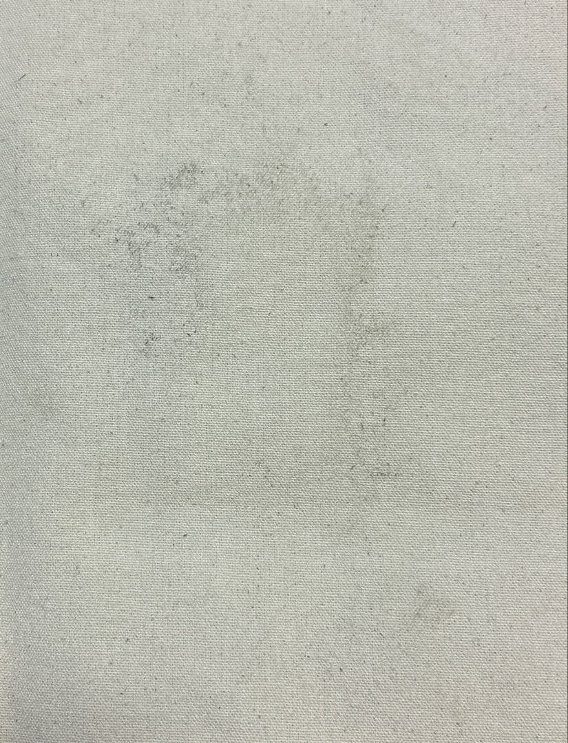 Chevonトートバッグ　サイン入り