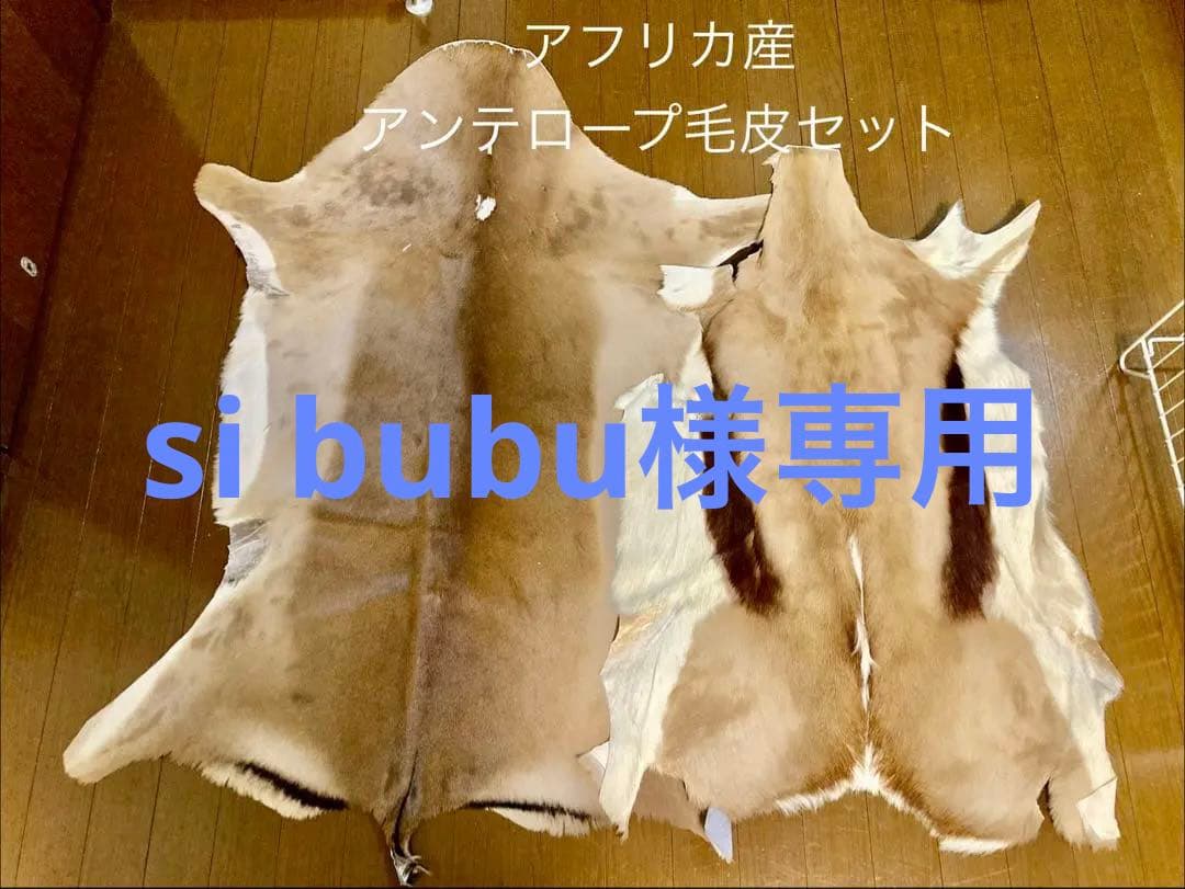 ラグ・カーペット si bubu