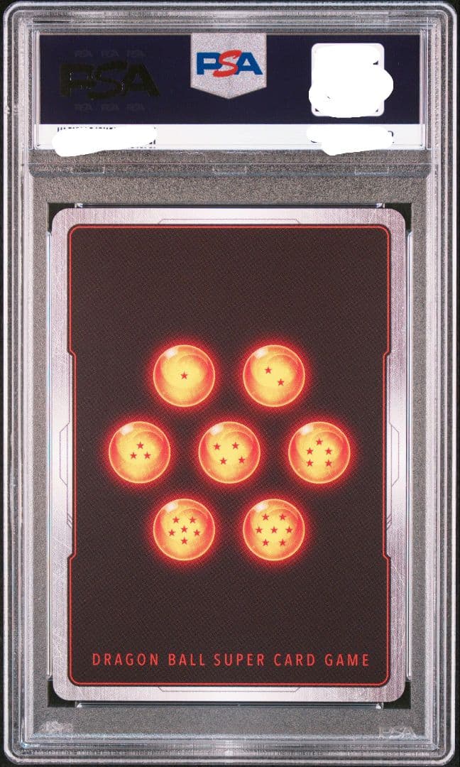 ギガンティックミーティア　墨絵　PSA10