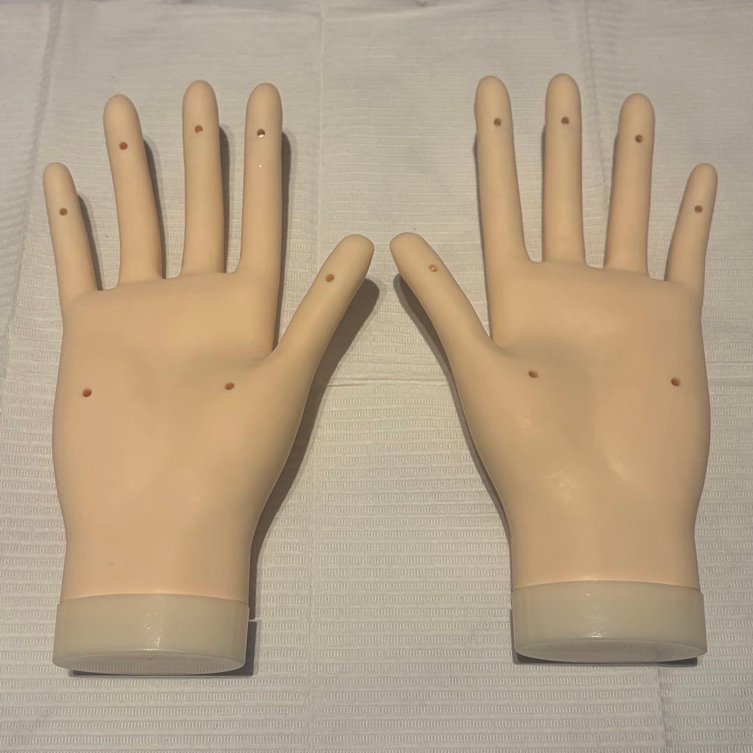 ハンドくん　JNEC認定モデルハンド　両手