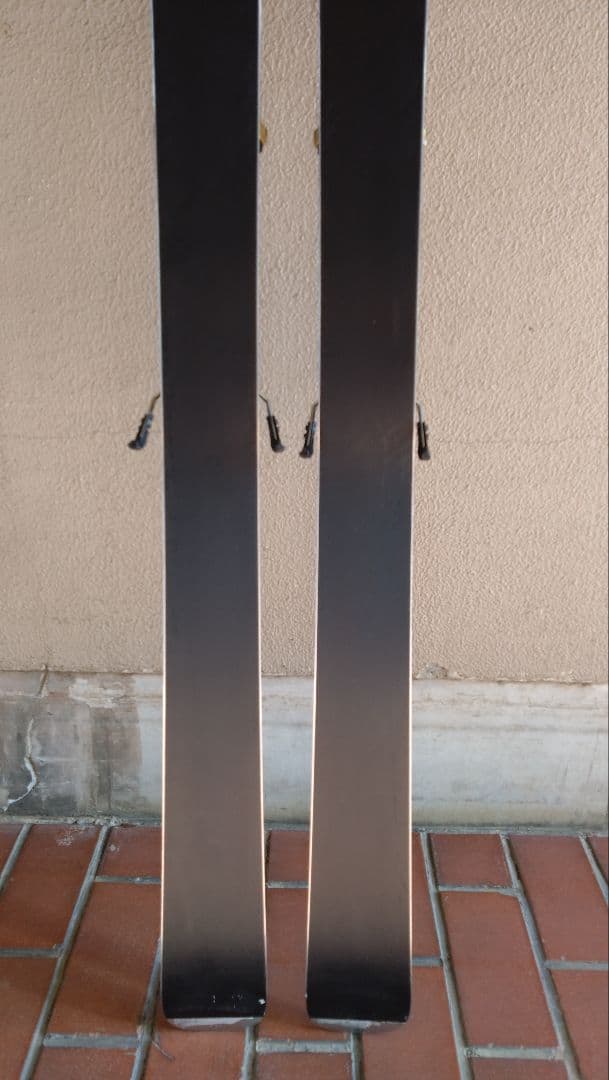 ベクターグライド　コルドヴァ　スタンダード　175cm