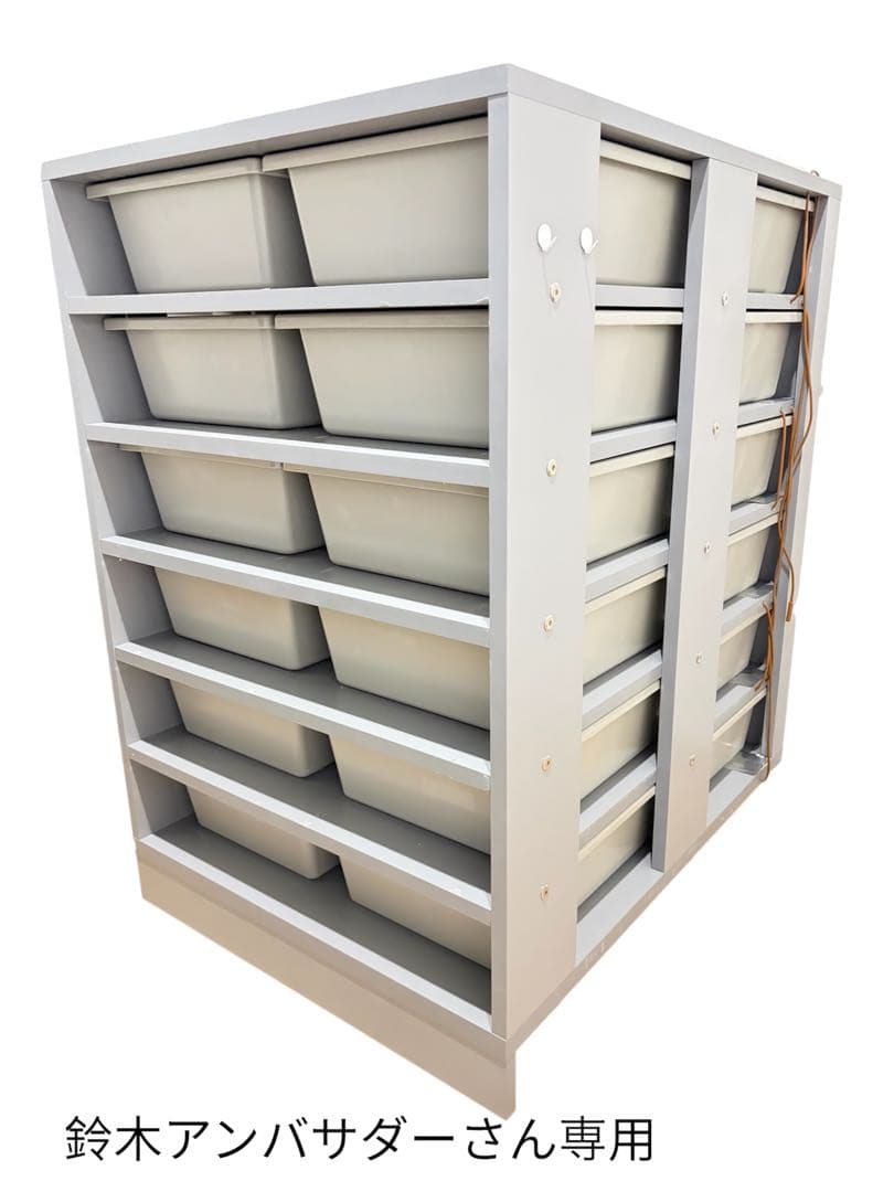 06shockwaveスネークラック6段ARS55タブ付き